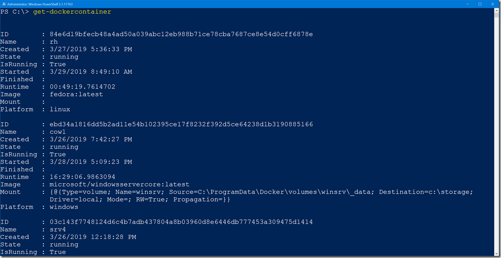 Getting my custom container objects in PowerShell