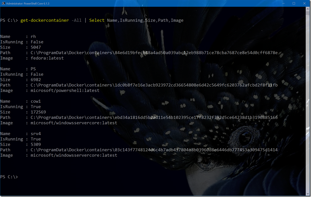 Geting Docker container size with PowerShell