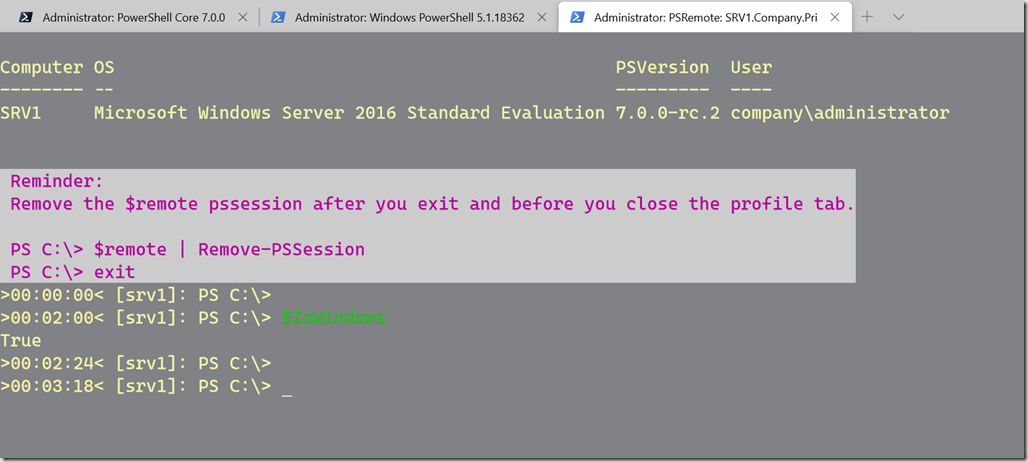 A Windows Terminal PowerShell Remote Session to an alternate endpoint